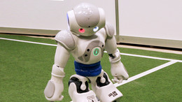 A robot stands with a red ball on a green soccer field.