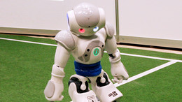 A robot stands with a red ball on a green soccer field.