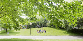 Students on the meadow with spectral rings in the background in summer