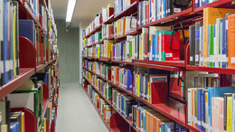 Red bookshelves in the university library.