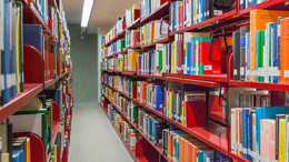 Red bookshelves in the university library.